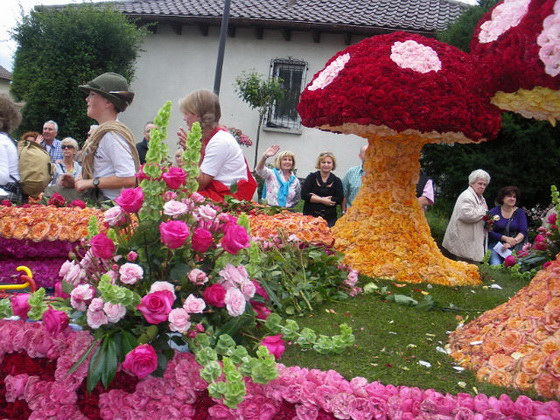 Фестиваль роз в Германии