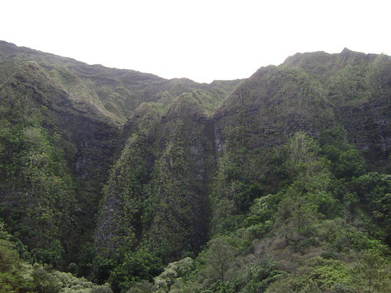 Мауи