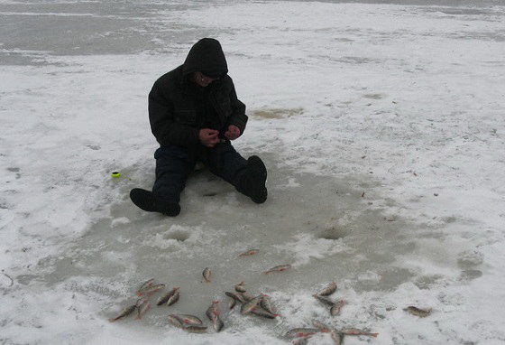 Рыбалка на озере Горьком-Перешеечном