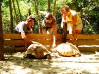 Сафари-парк. Зоопарк в Краснодаре на Солнечном острове