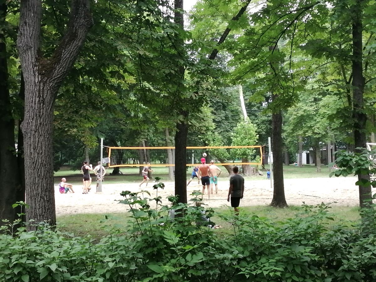Спортивные площадки в парке