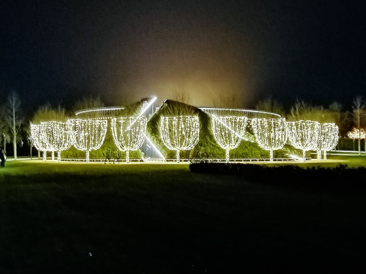 Новогодняя подсветка в парке Галицкого