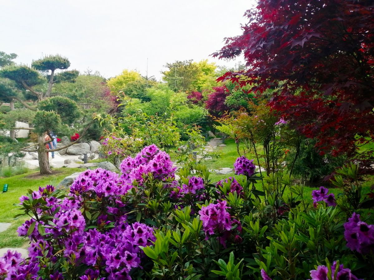 Японский сад Галицкого