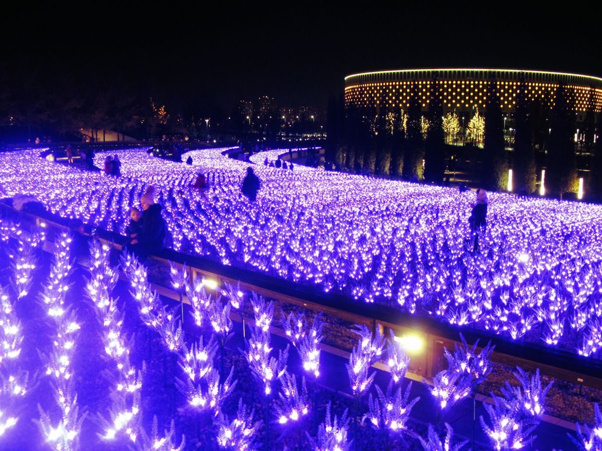 Парк Галицкого в Краснодаре фото : Мы - путешественники